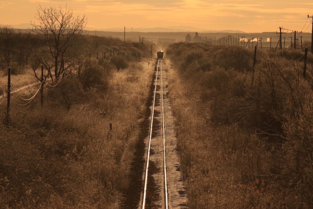 氷点下13℃まで冷え込んだ朝、差し込む太陽にきらきらと輝く樹氷と二本の線路