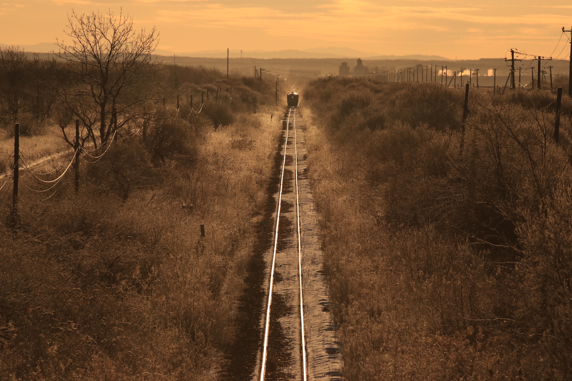 氷点下13℃まで冷え込んだ朝、差し込む太陽にきらきらと輝く樹氷と二本の線路